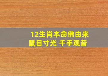 12生肖本命佛由来 鼠目寸光 千手观音